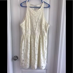 NWT Cream LC Dress